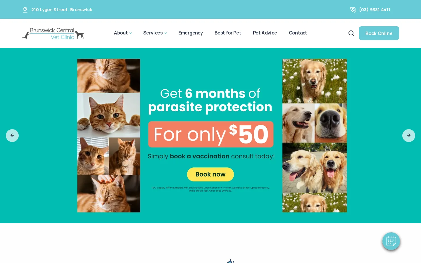 Brunswick Central Vet Clinic Homepage screenshot