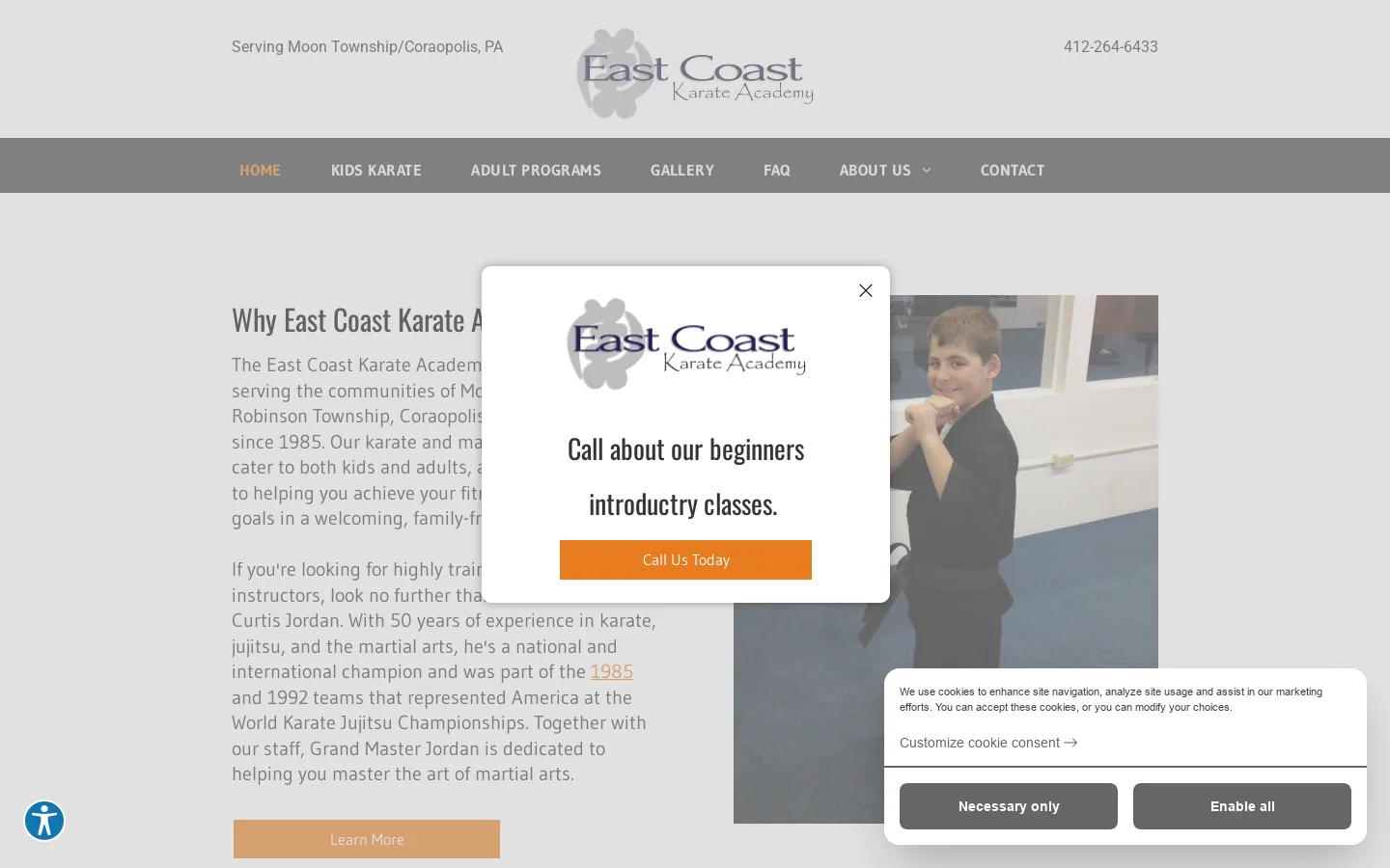 East Coast Karate Academy | Martial Arts | Coraopolis, PA Homepage screenshot