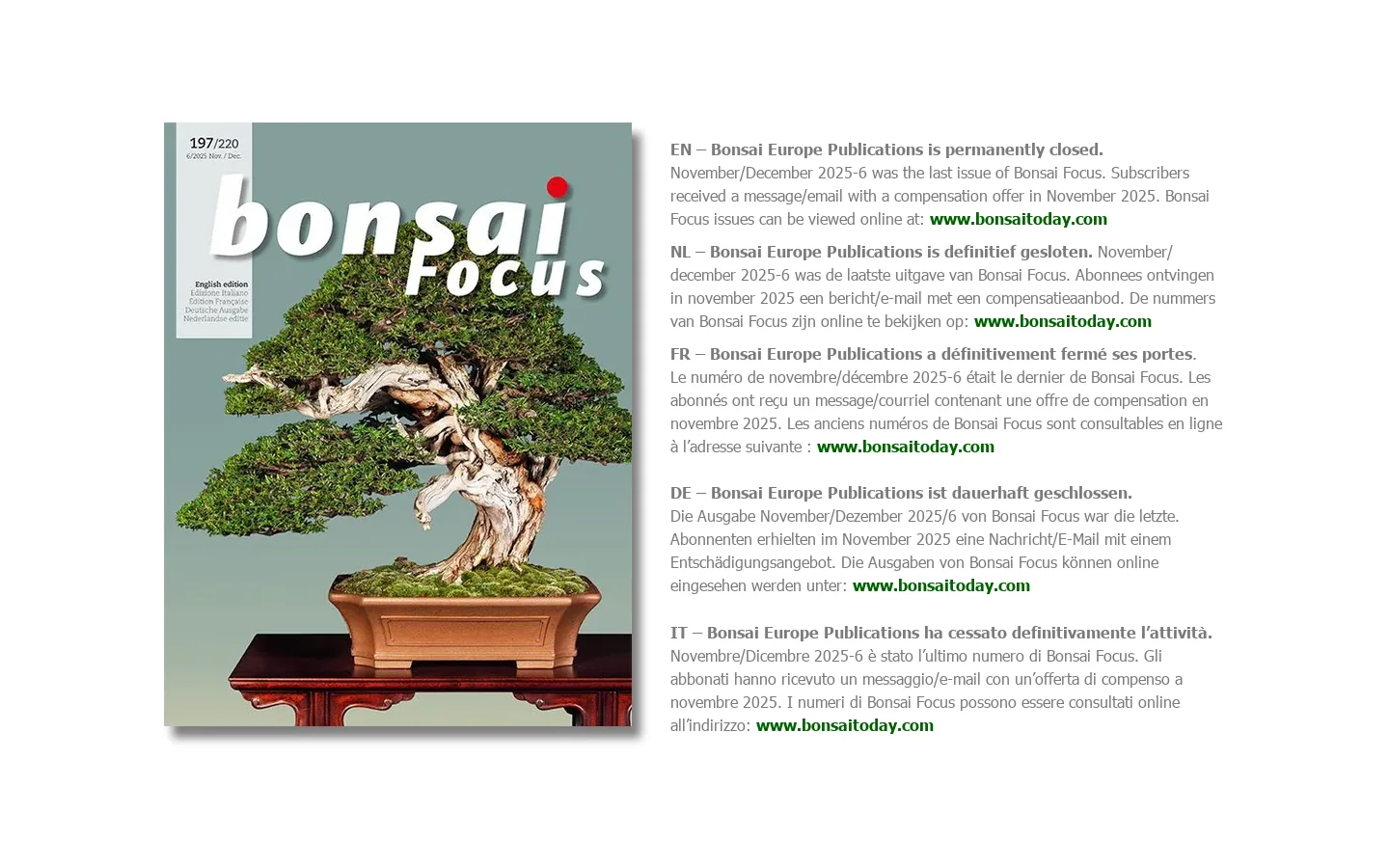 Bonsai Focus Homepage screenshot