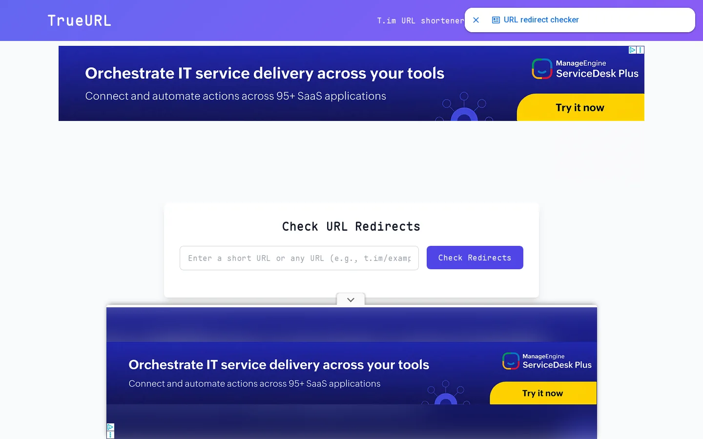 TrueURL Homepage screenshot