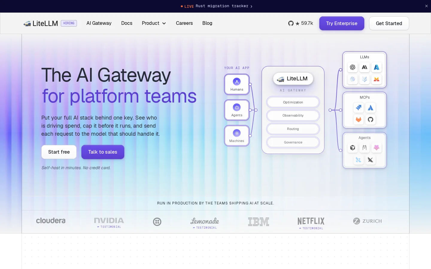 LiteLLM Homepage screenshot