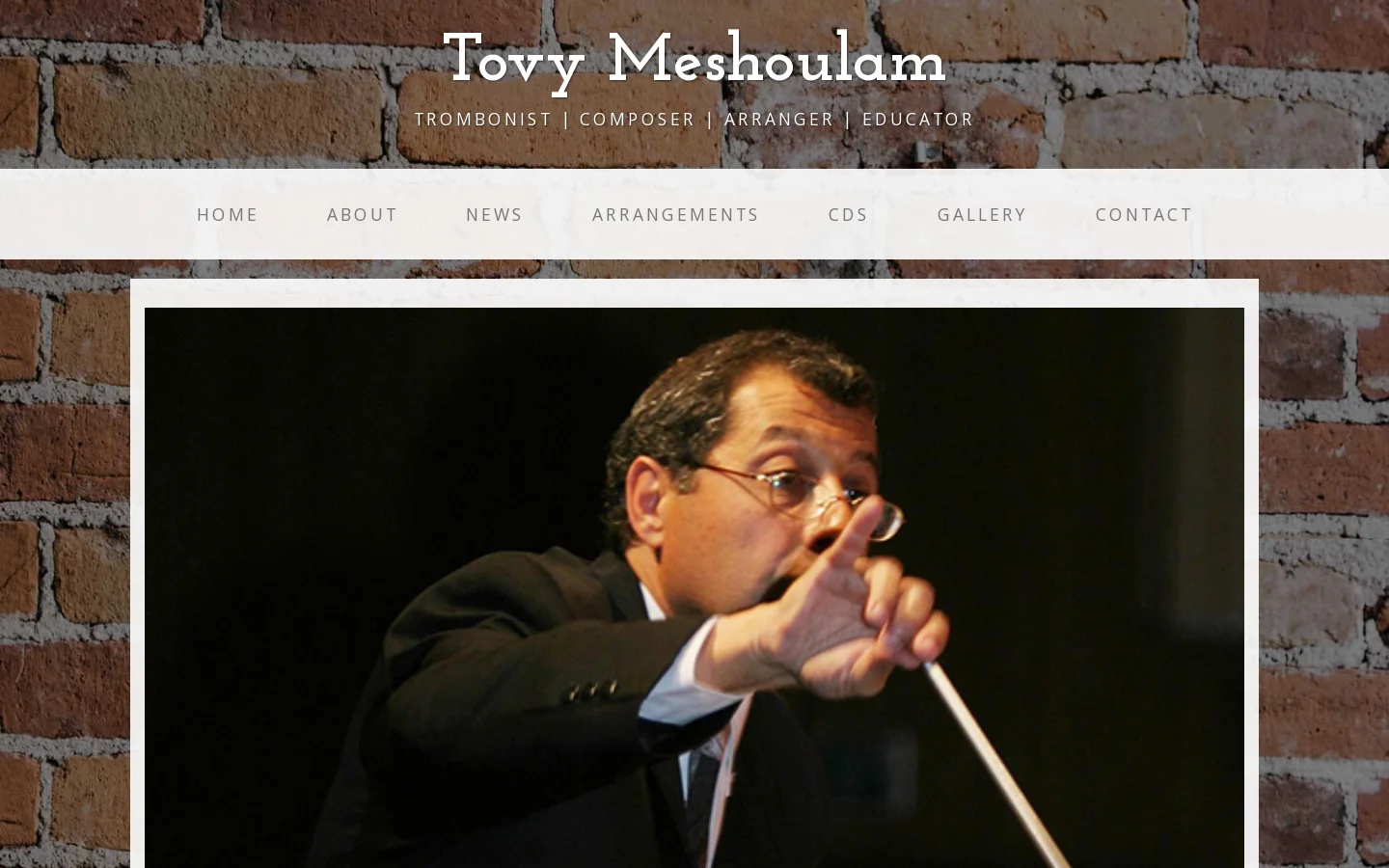 Tovy Meshoulam Homepage screenshot