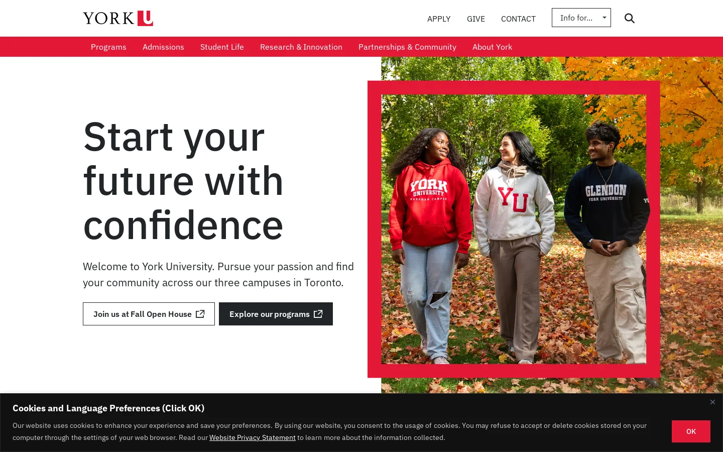 York University Homepage screenshot