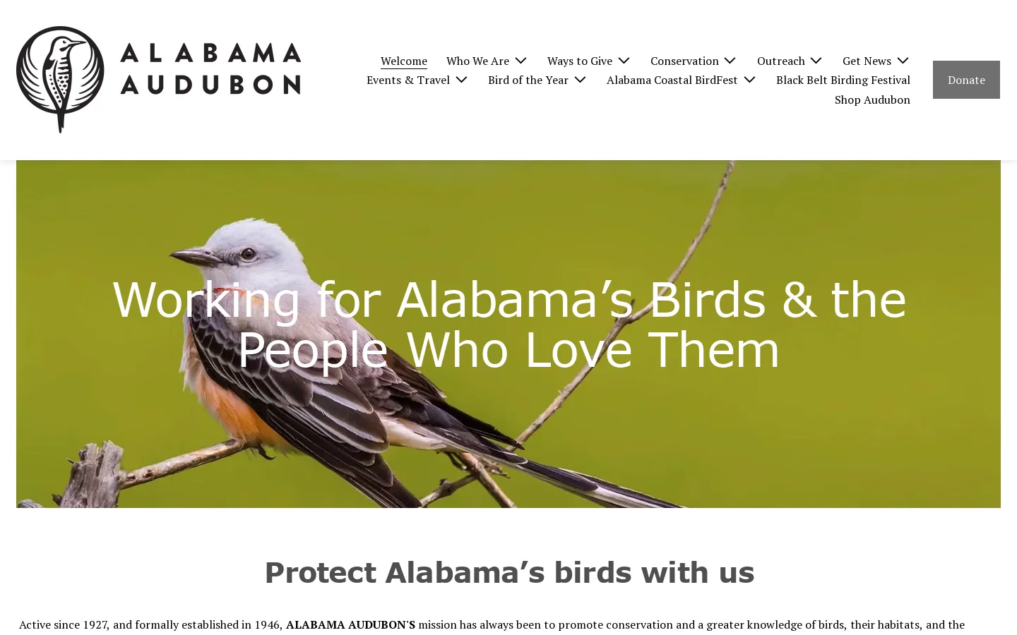 ALABAMA AUDUBON | Explore Birds Today – Join Us Now Homepage screenshot