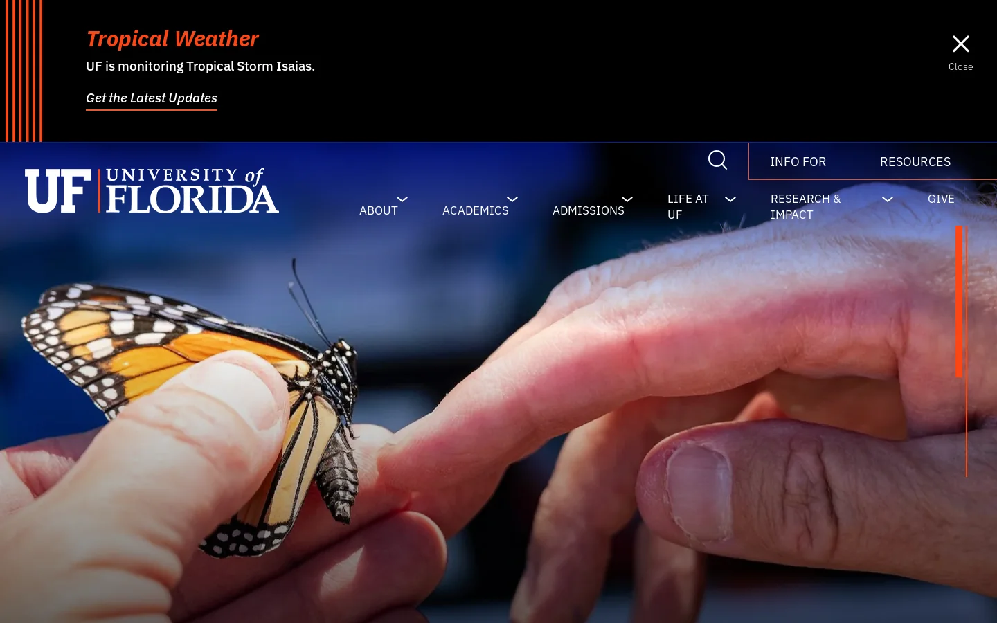 Home | University of Florida Homepage screenshot
