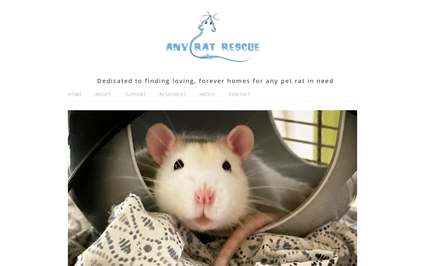 Any Rat Rescue Homepage screenshot