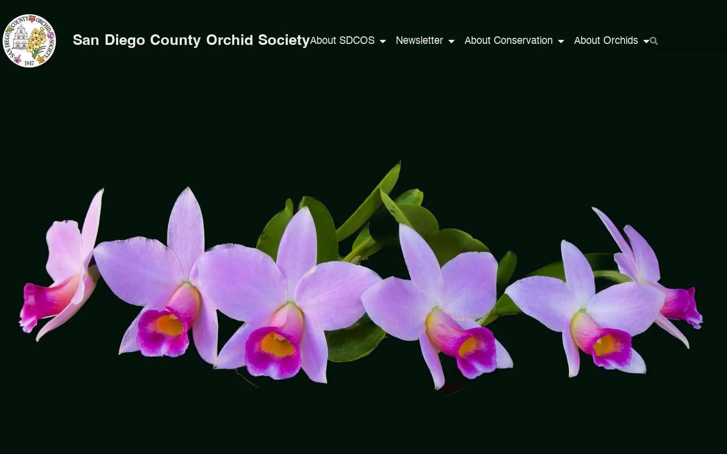 San Diego County Orchid Society – SDCOS Homepage screenshot