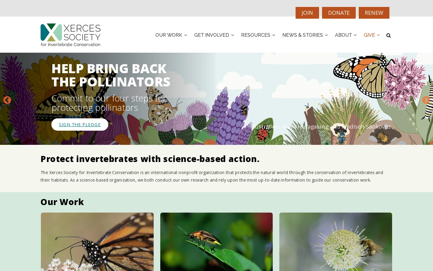 The Xerces Society for Invertebrate Conservation Homepage screenshot