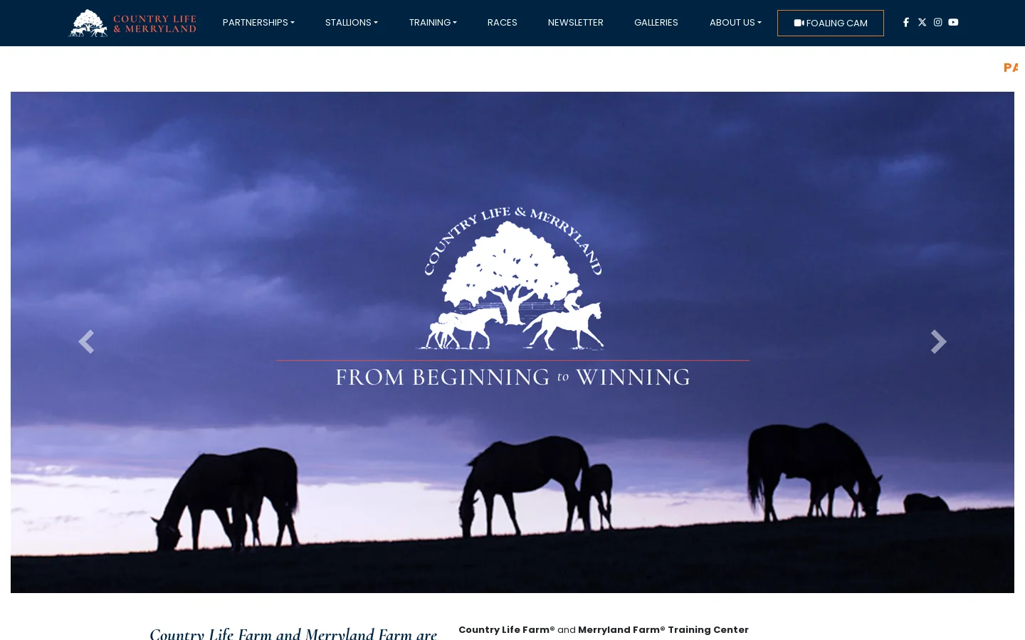 Country Life and Merryland Farms – From Beginning to Winning Homepage screenshot