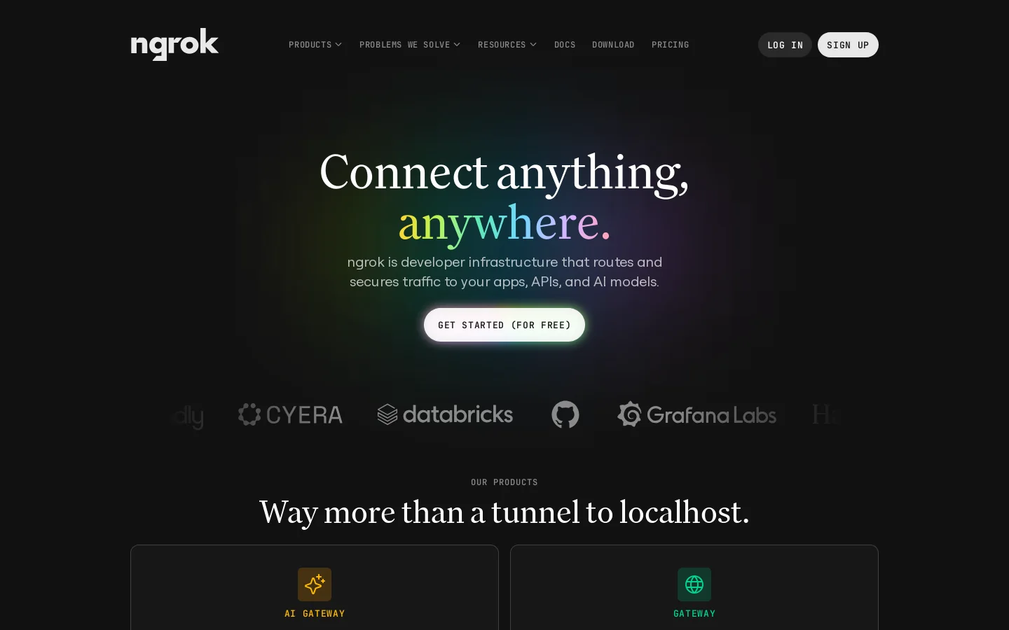 ngrok Homepage screenshot