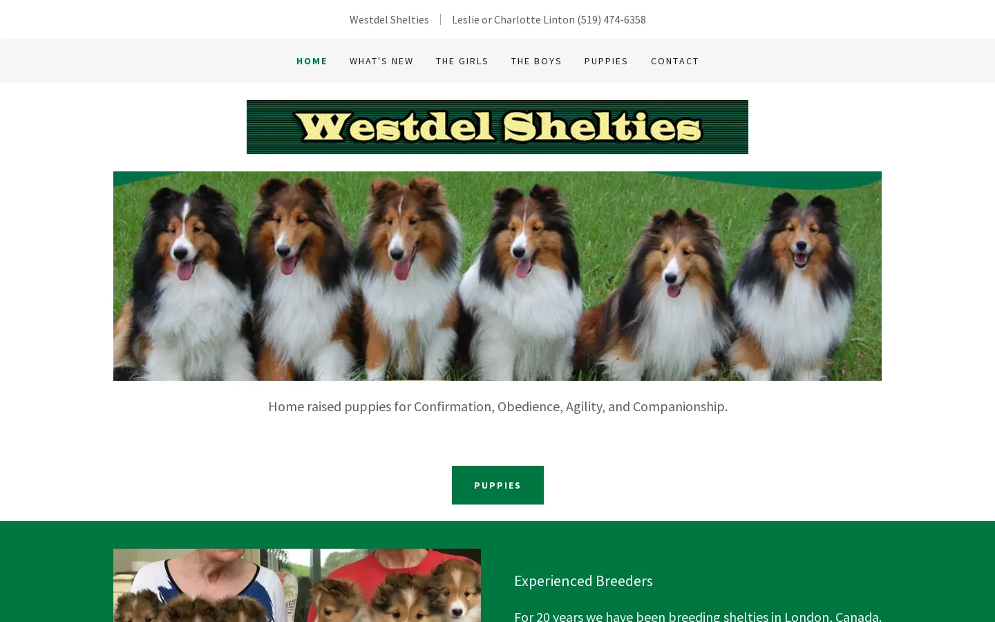 Westdel Shelties Homepage screenshot