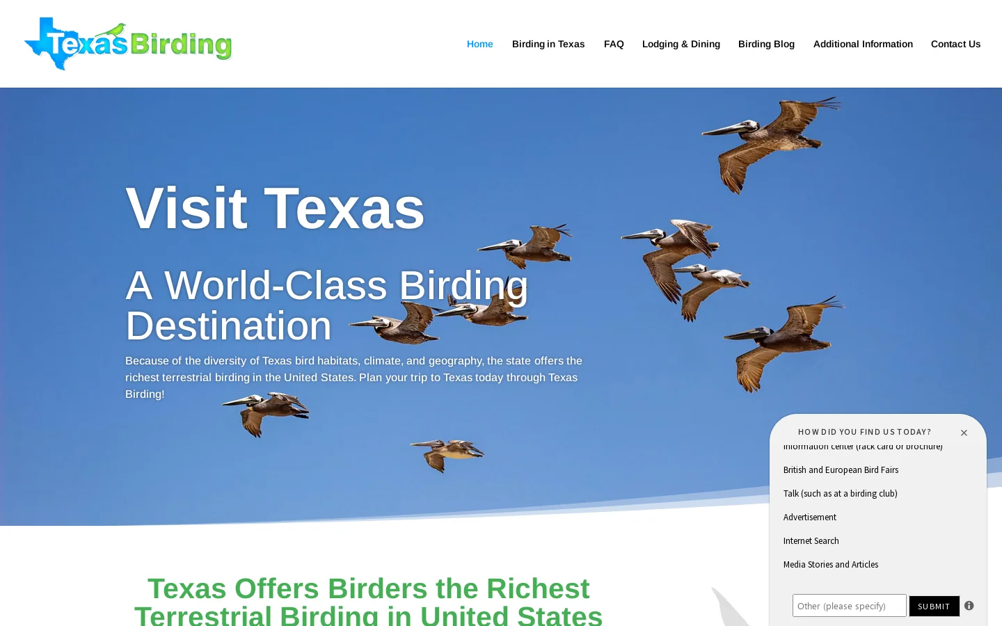 Texas Birding Homepage screenshot